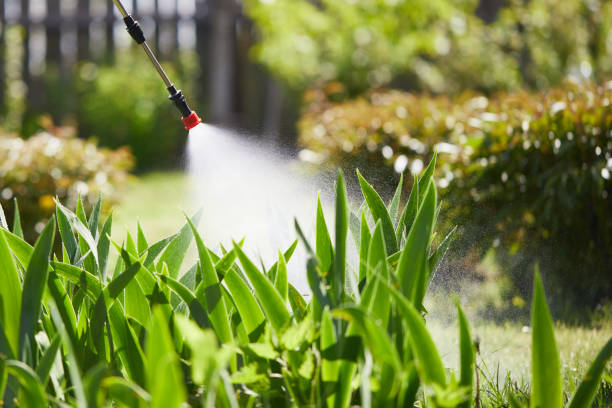 Tamper-Resistant Bait Stations for Rodents in Frankton