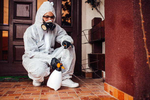Attic and Crawl Space Rodent Treatment in Frankton